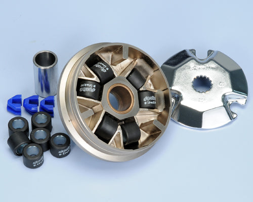 Polini 241.320 Variatore Garelli Pony,Big Wheel-Italjet-Lem- - Milione Bike