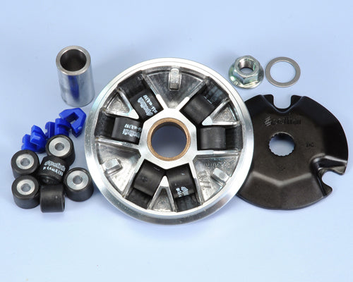 Polini 241.460 Variatore Piaggio Zip,Quartz,Nrg,Free,Typhoon,Storm - Milione Bike