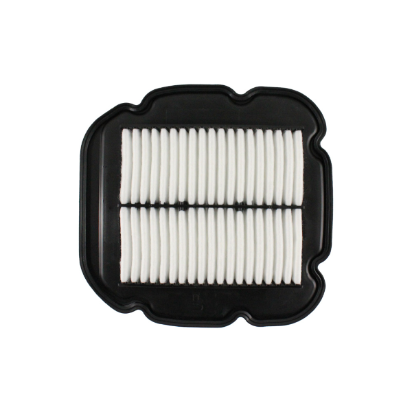 Filtro Aria Dl650 -1000 02-10 - Milione Bike