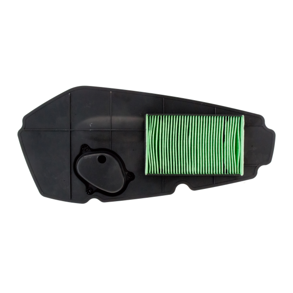 Filtro Aria Honda Forza 250Cc 08-09 - Milione Bike